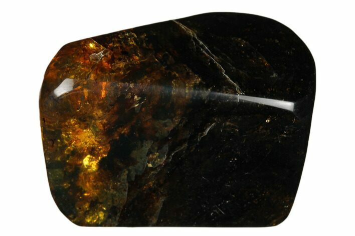 Polished Chiapas Amber ( grams) - Mexico #180432